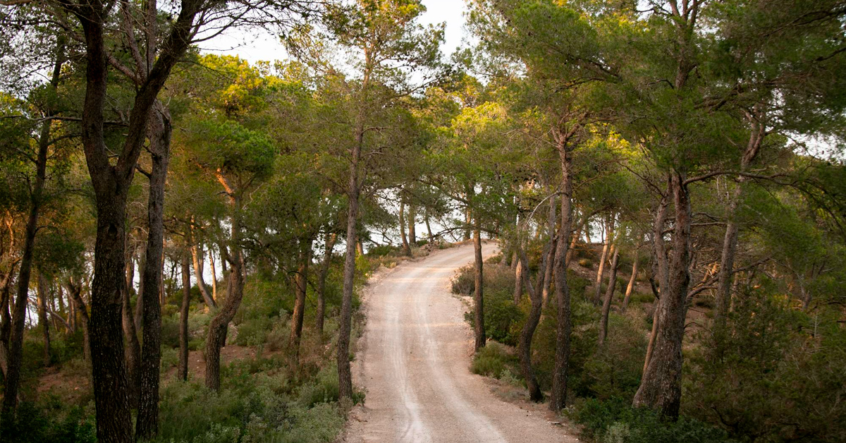 paseo por sa talaia sant josep