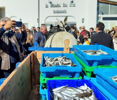 Fira des Gerret Santa Eulària des Riu