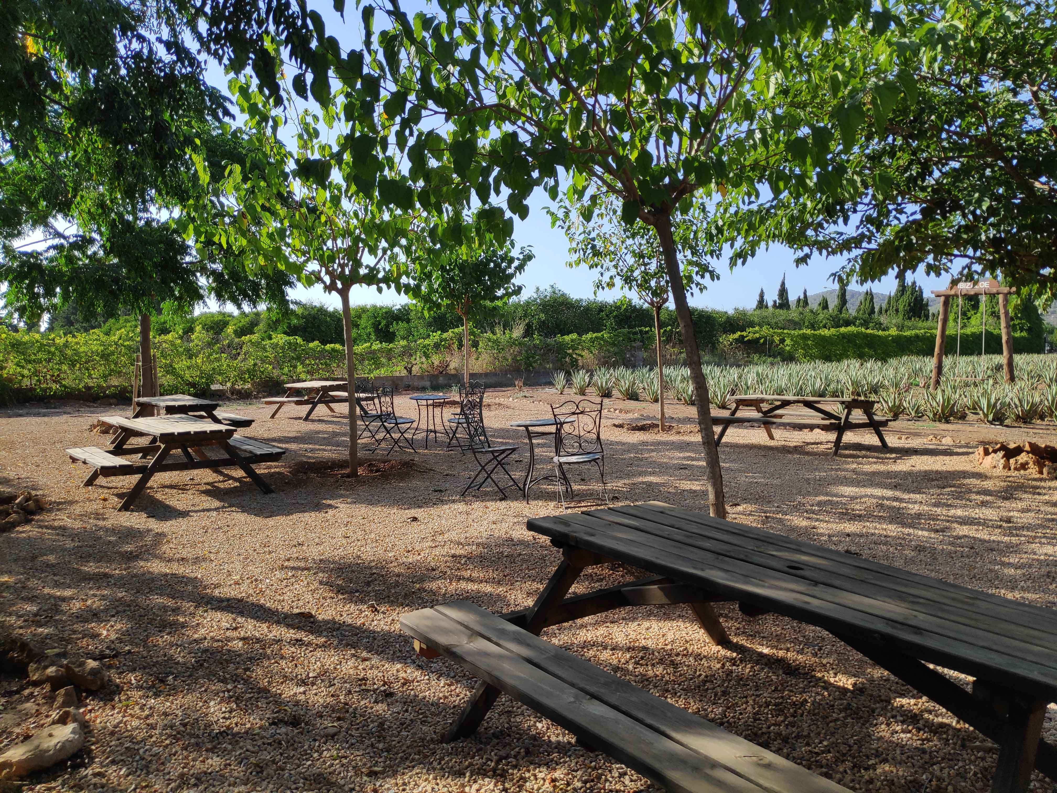 Ibizaloe picnic area
